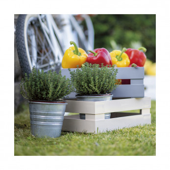 Ящик для хранения Tidy&Store, 45 х 31 х 15 см, кремовый